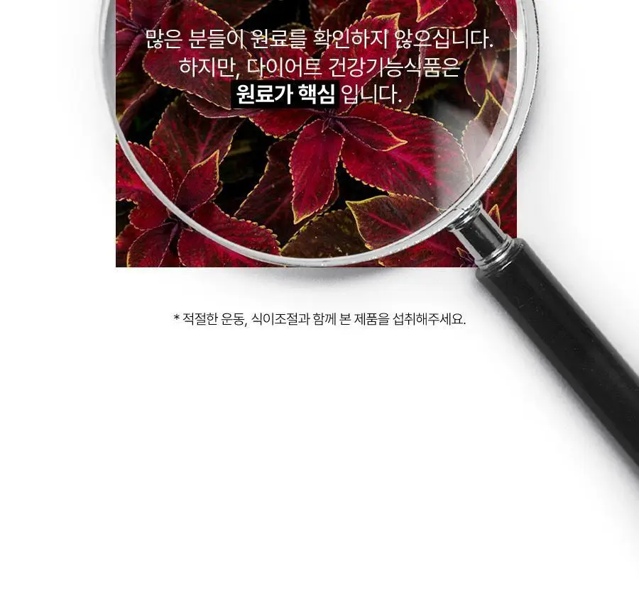 [서현PICK] 콜레올로지 티 PRO 하비탈출 8,000mg X 7포/15포 (7일분/15일분) 상세페이지 7